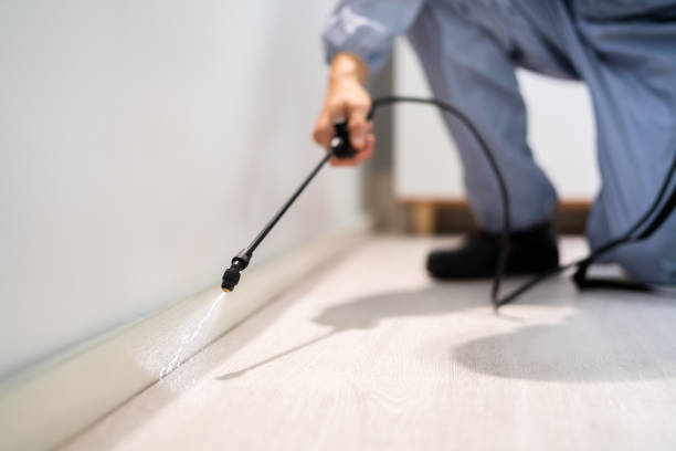 Licensed Rodent Control service in Alexander County County, IL - Nex Pest Control